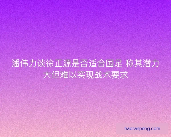 潘伟力谈徐正源是否适合国足 称其潜力大但难以实现战术要求