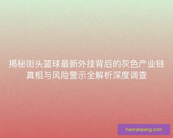 揭秘街头篮球最新外挂背后的灰色产业链真相与风险警示全解析深度调查